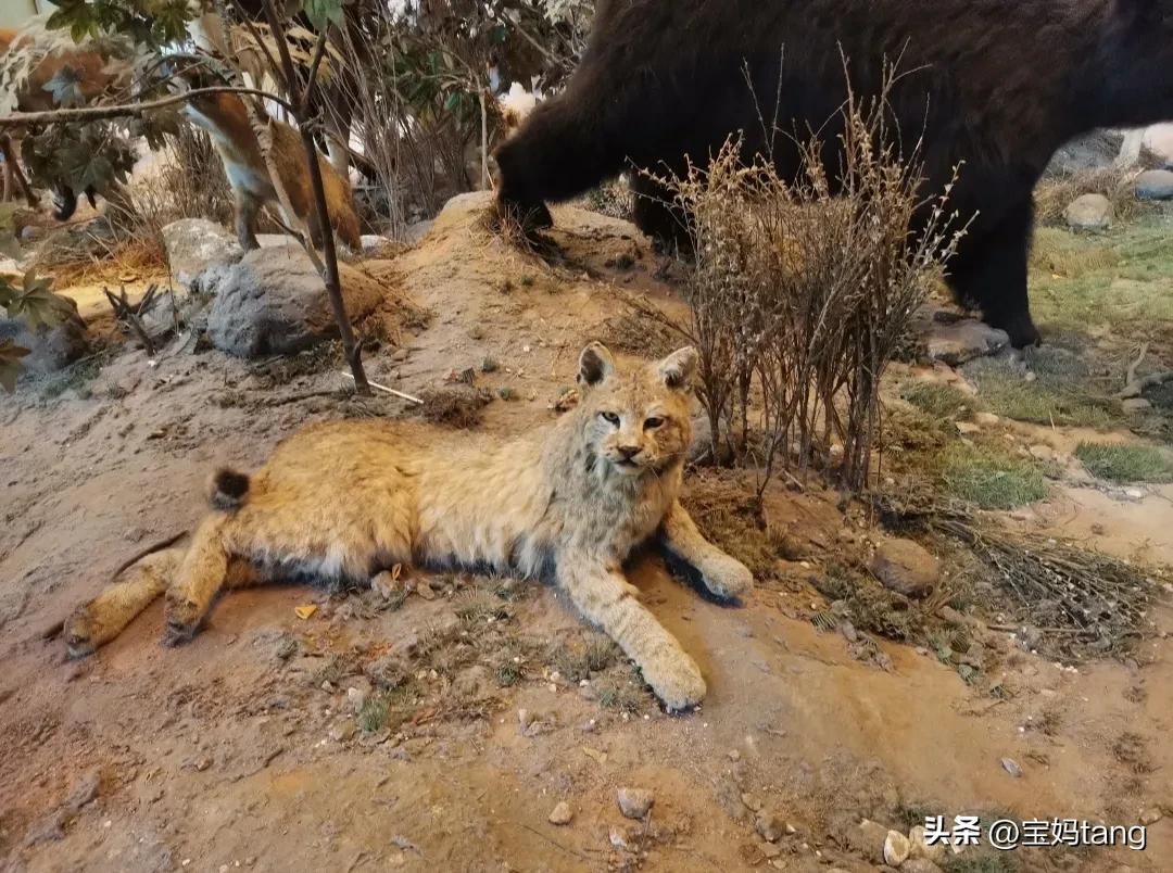 上海科技馆游玩全攻略,上海科技馆儿童馆攻略