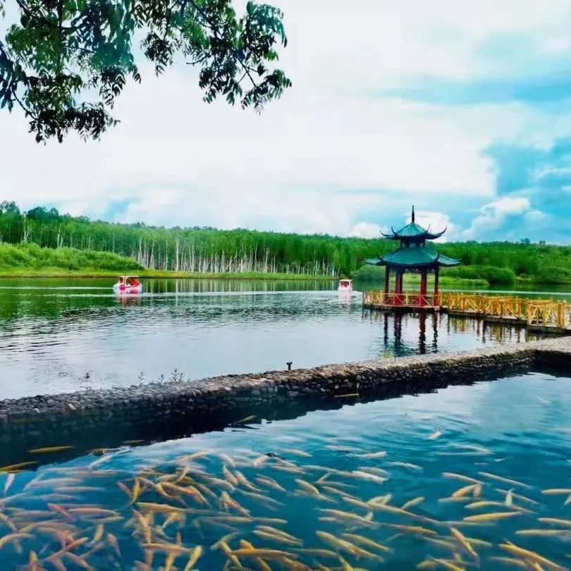 来白山,来长白山别只顾着打卡