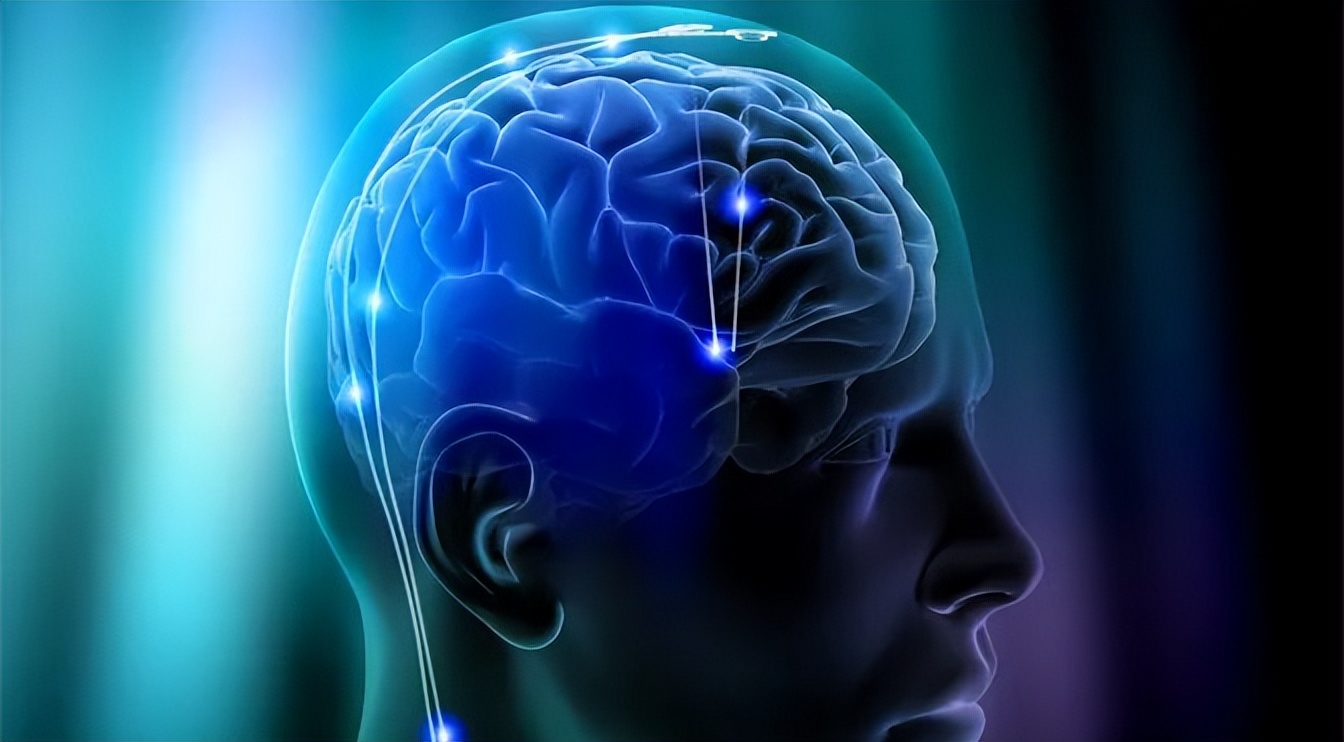 脑科学龙头企业,脑科学龙头股