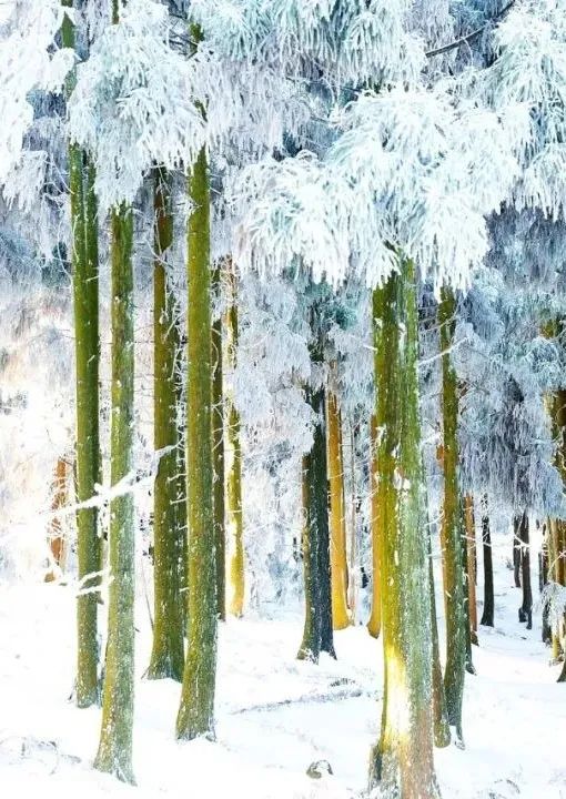 遂昌县攻略,遂昌一日游最佳攻略