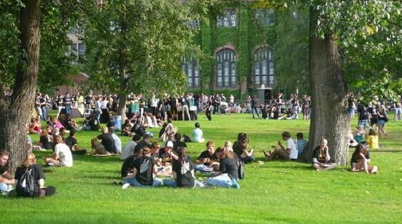 英国曼彻斯特大学和埃塞克斯大学,英国埃塞克斯大学基本概况