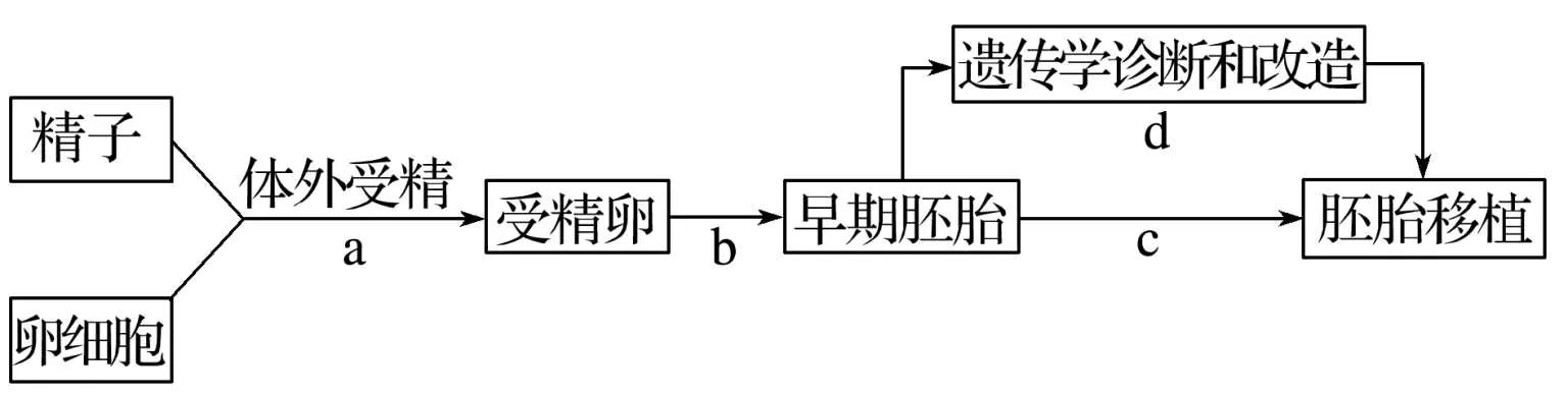 细胞工程易错知识点,高中生物细胞必背知识点