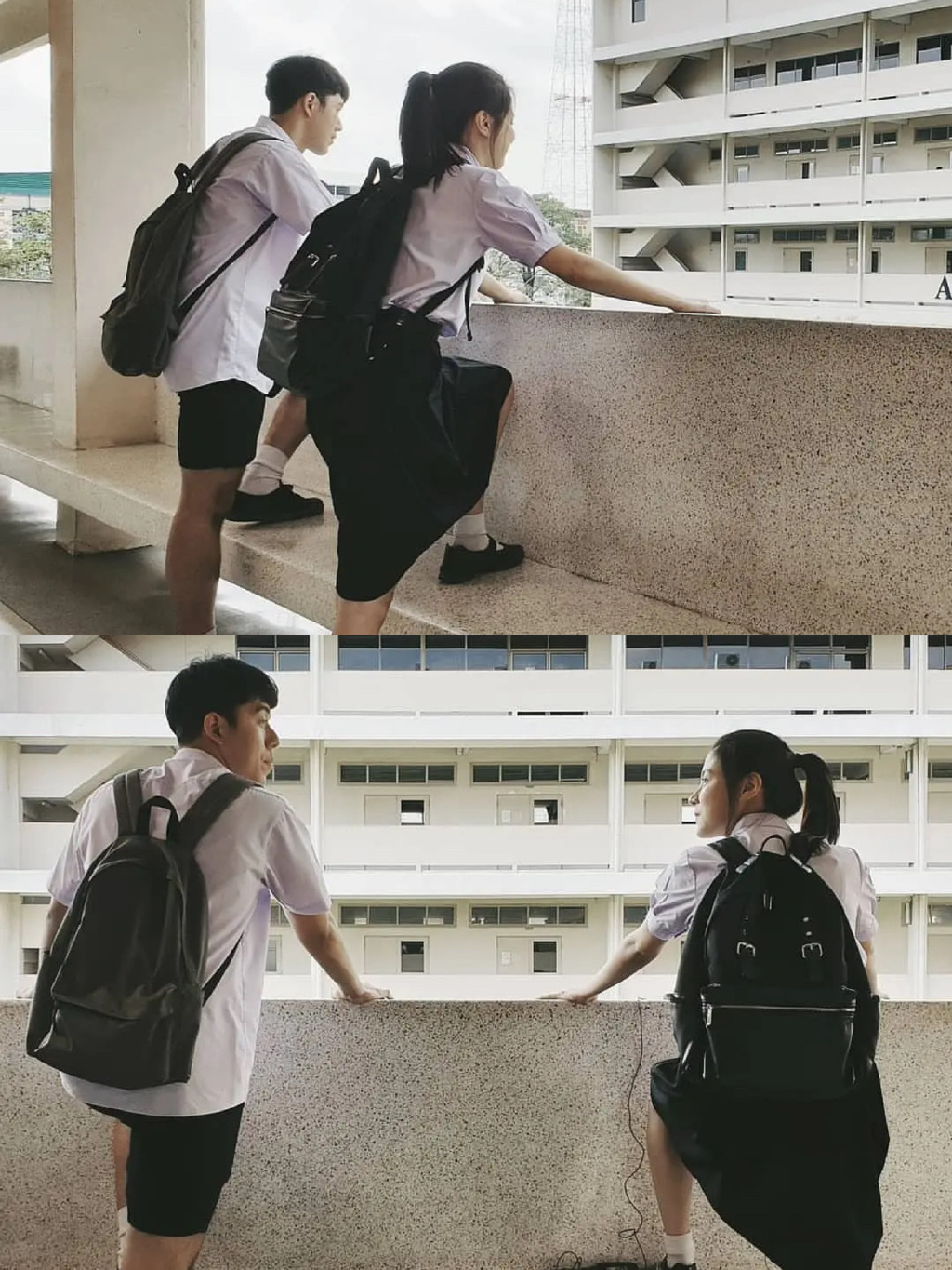 小九疑赠泰星小水象征一生爱一人的socco小蓝表?