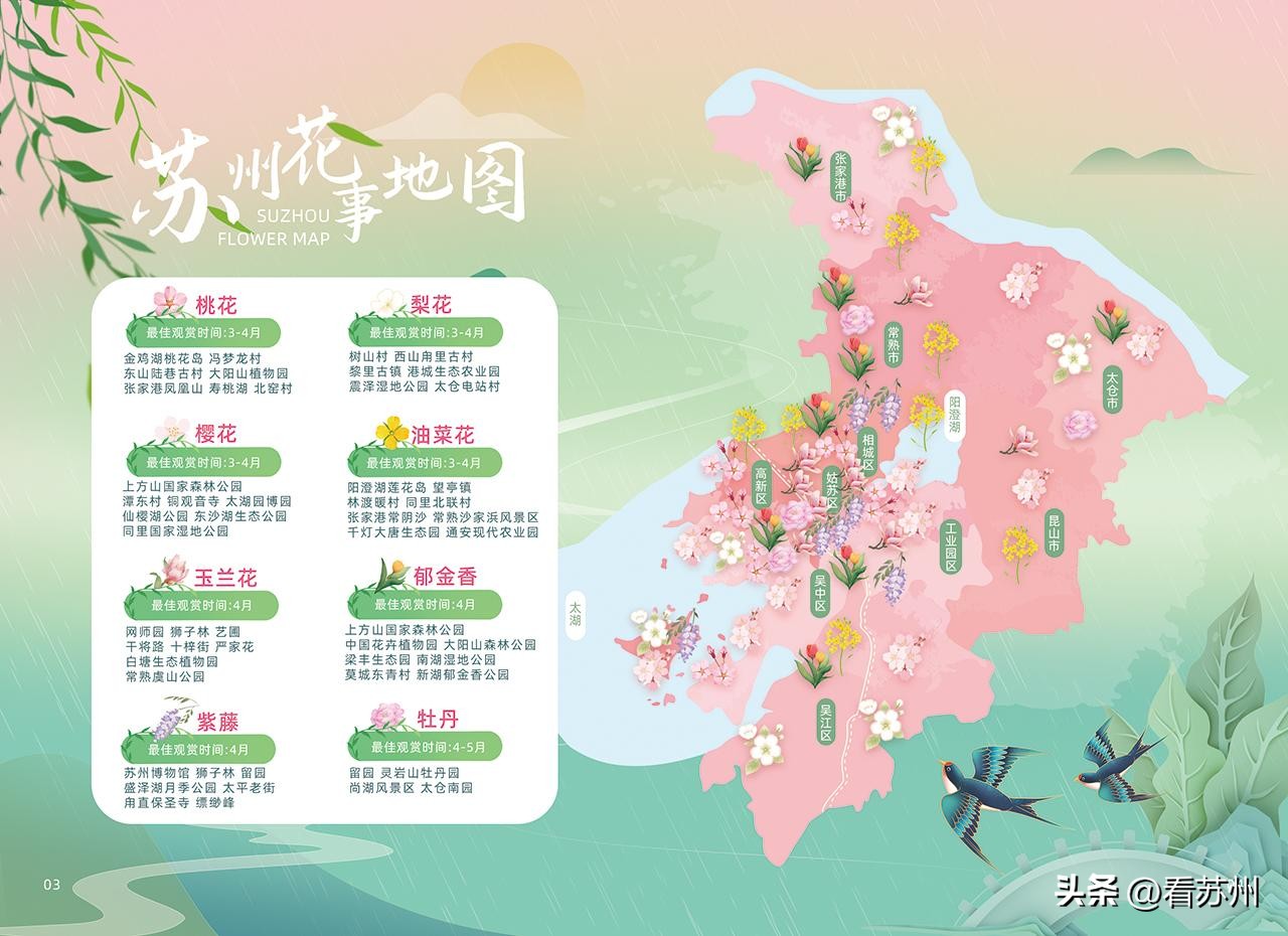 苏州春季旅游路线攻略,苏州春季旅游攻略路线推荐