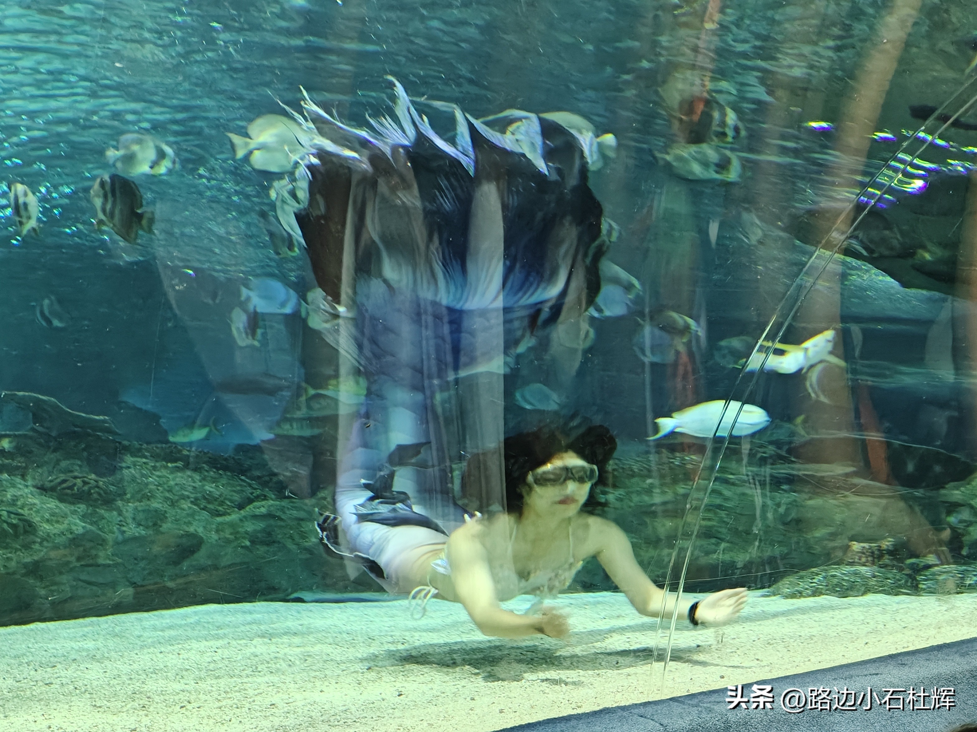 北京富国海底世界海洋水族馆,北京海洋馆和工体海洋世界