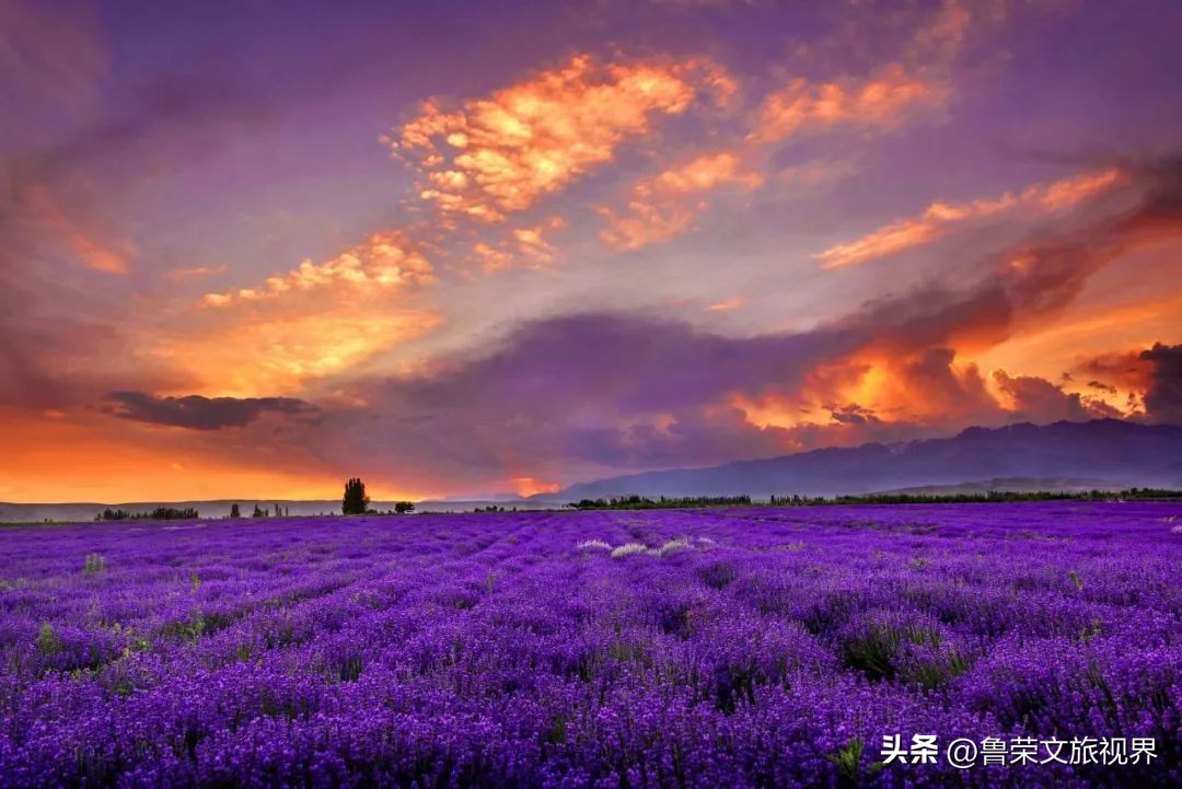 大美新疆的风景有哪些,大美新疆北疆美