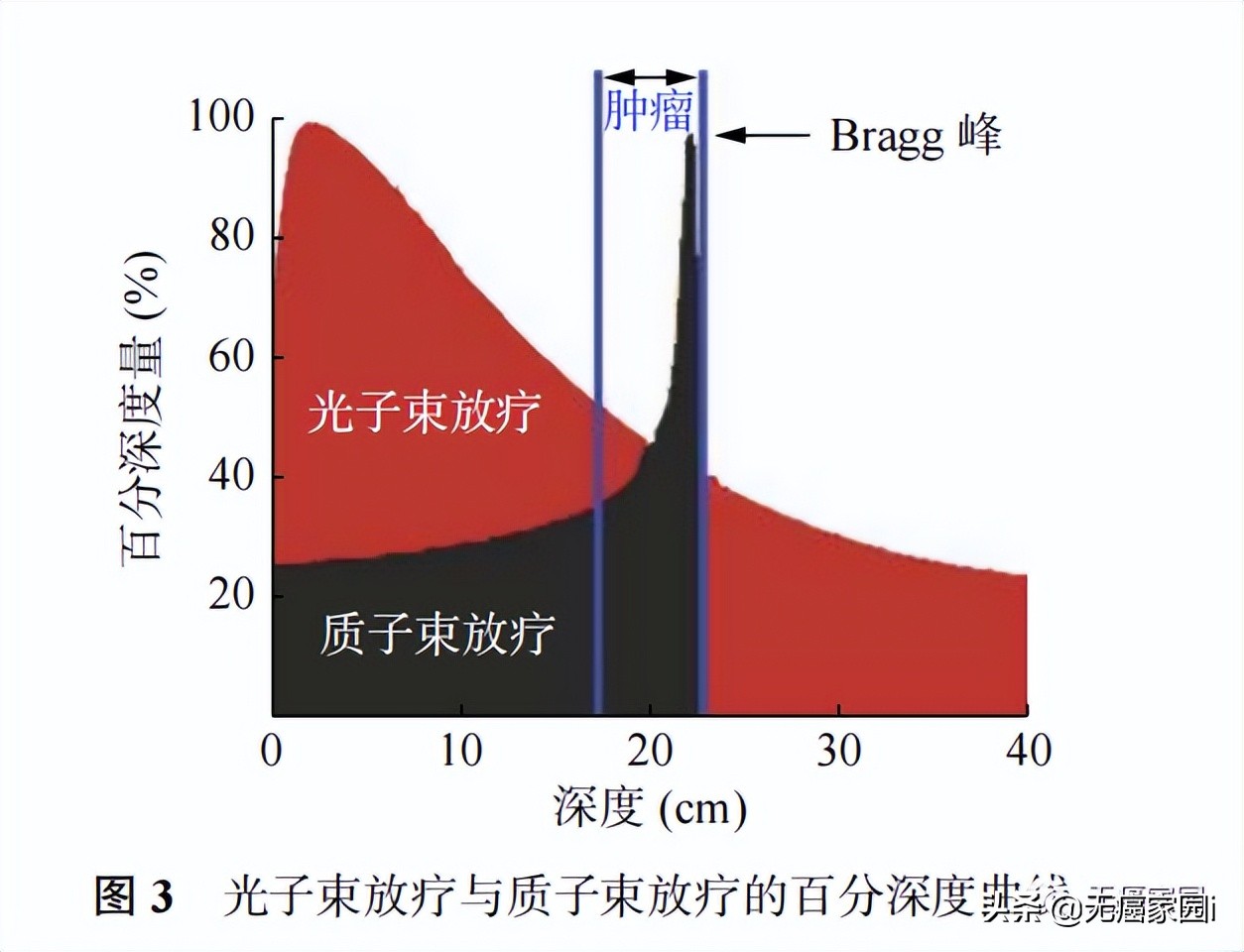 前列腺癌内分泌治疗5年存活率,前列腺癌要怎么样防止