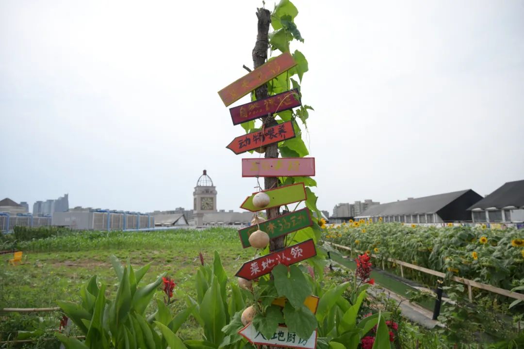 押宝星河里文创、屋顶农场项目,入郑12年的宝龙广场能否续命?