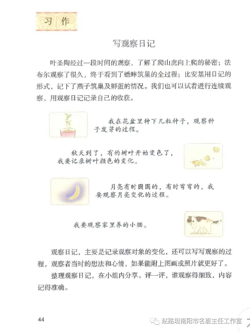 豆芽成长记优秀作文,豆芽成长记日记三年级