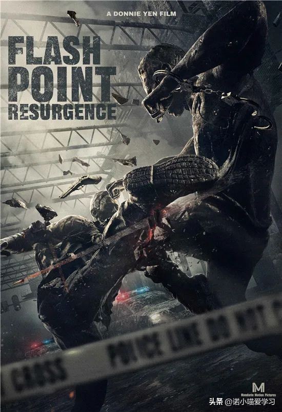 甄子丹回应再拍叶问5,甄子丹新片亮相戛纳