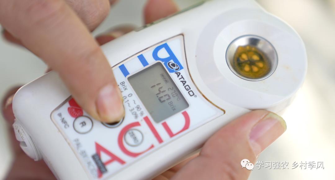 比西瓜甜的小番茄,比西瓜还甜的甜心