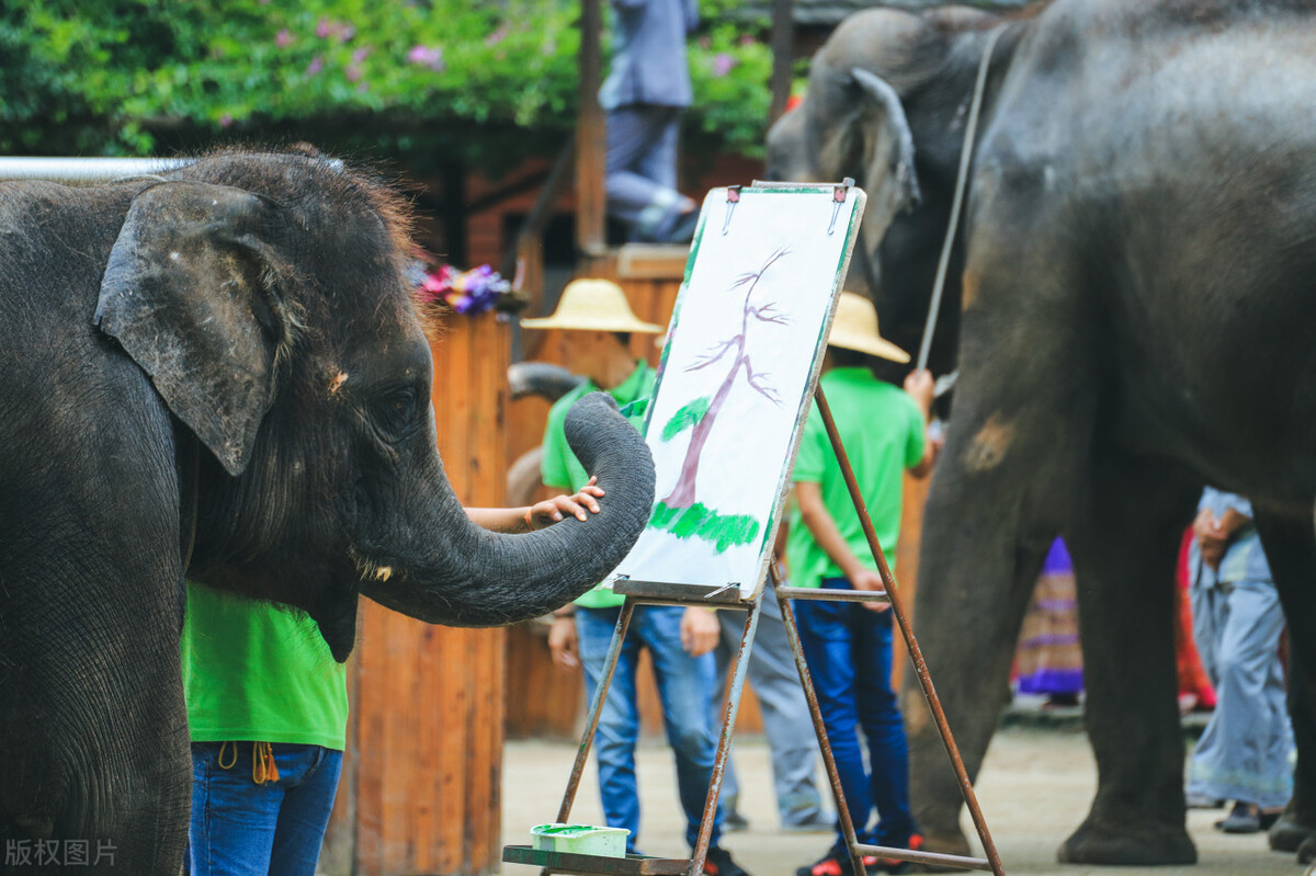 春节去云南哪里最好玩,云南春节人少旅游推荐