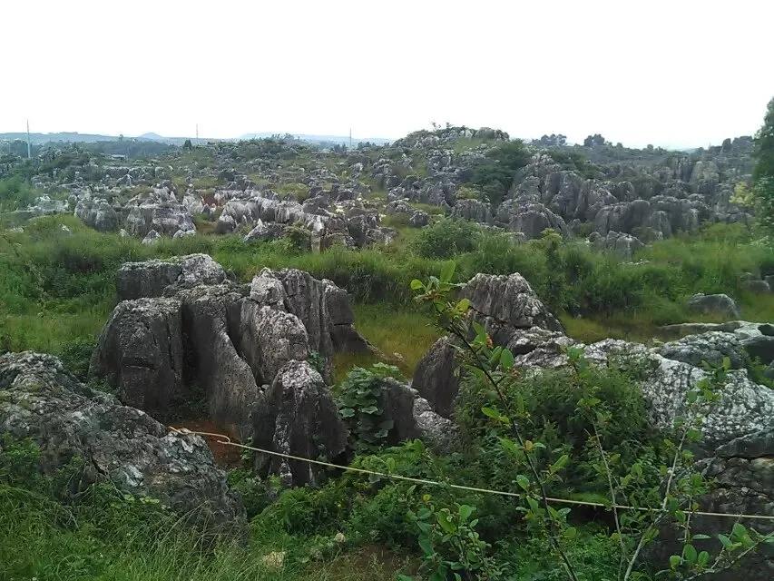 5a级喀斯特奇观石林风景区,世界最大石林地质奇观是什么