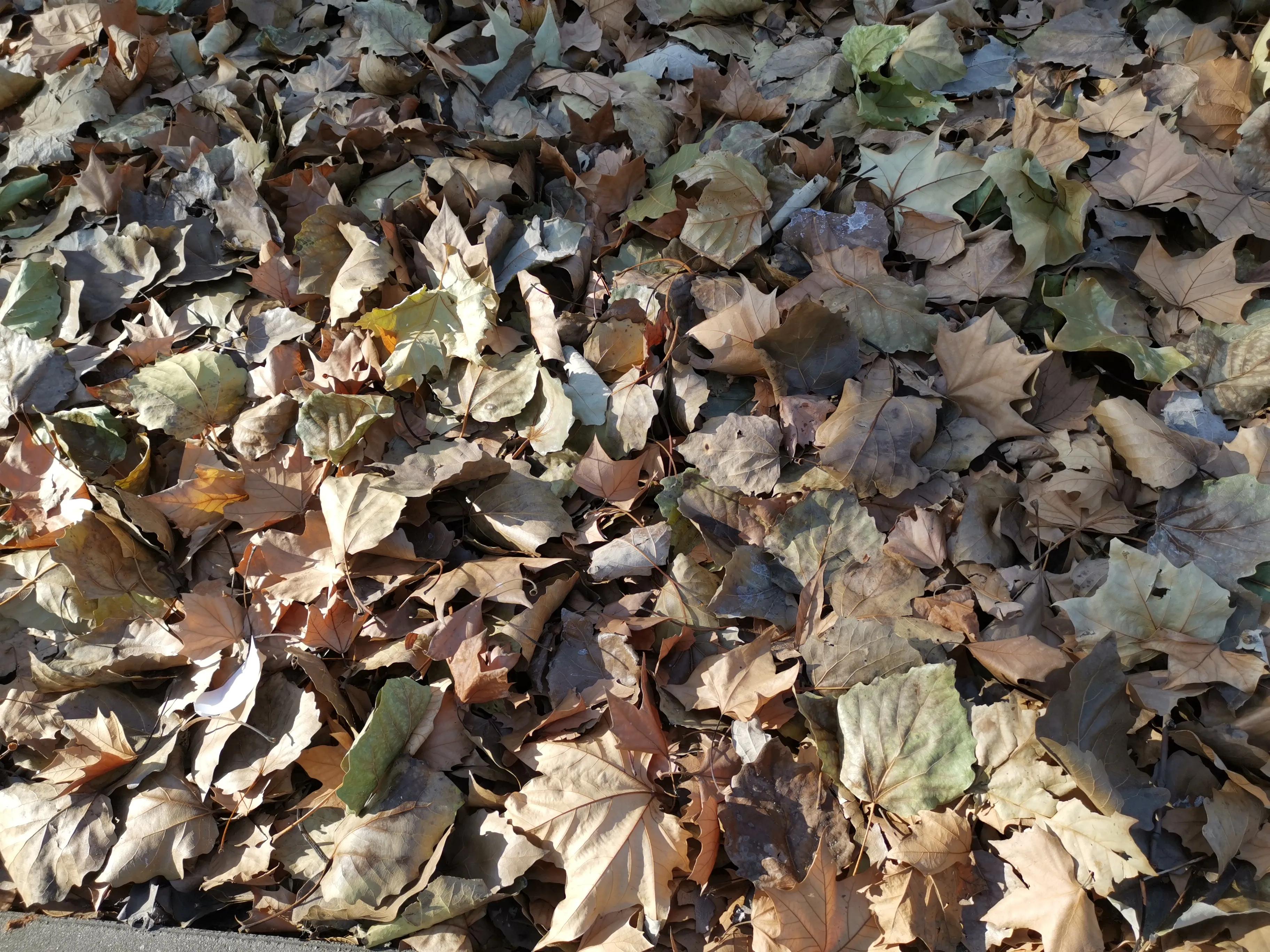 疫情下的天津地铁,疫情下的天津宝坻