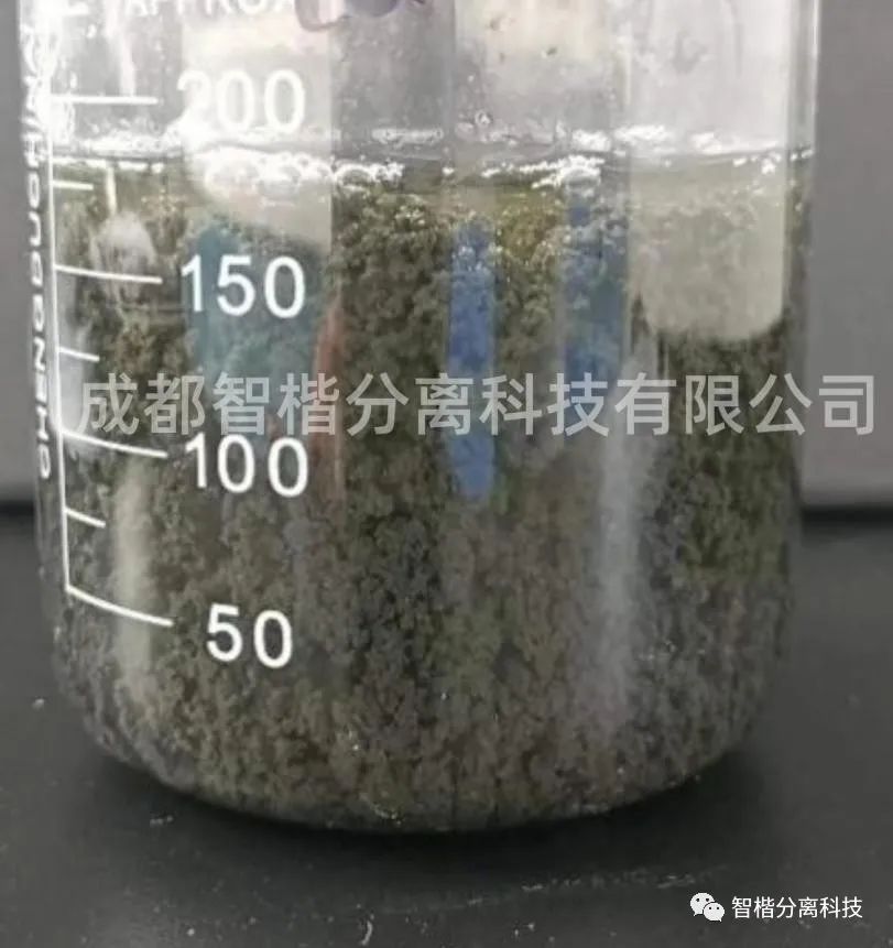 创新无限|参观智楷实验室，领略科技的无限可能