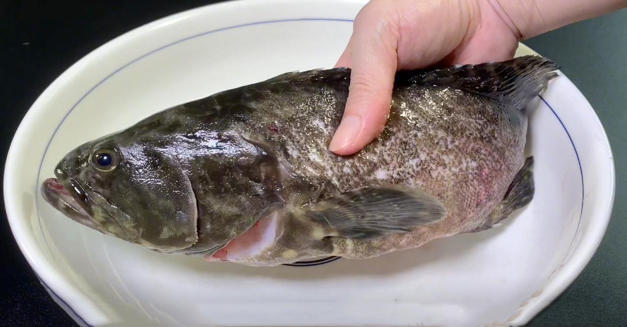 海鱼野生和养殖的营养,家养海鱼可食用推荐