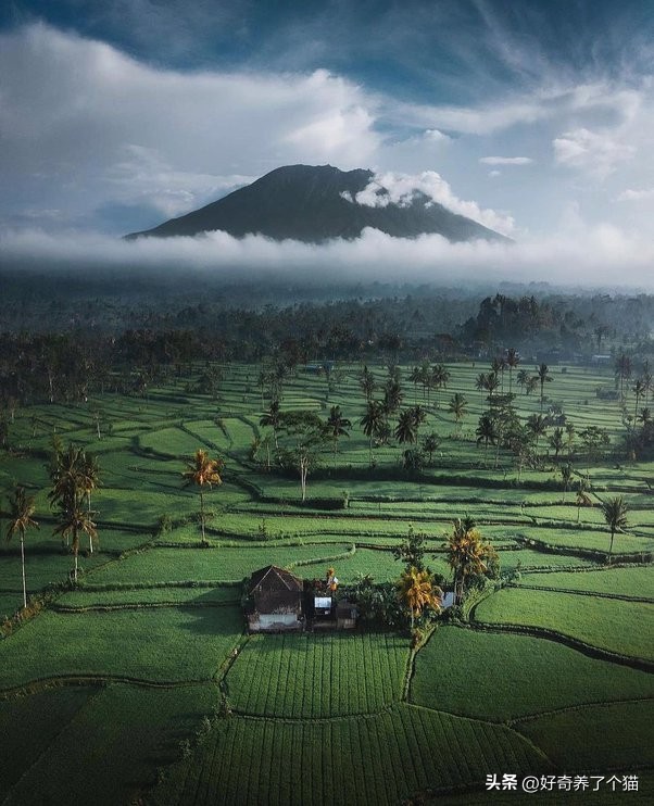 20张罕见图,最罕见的20张图片