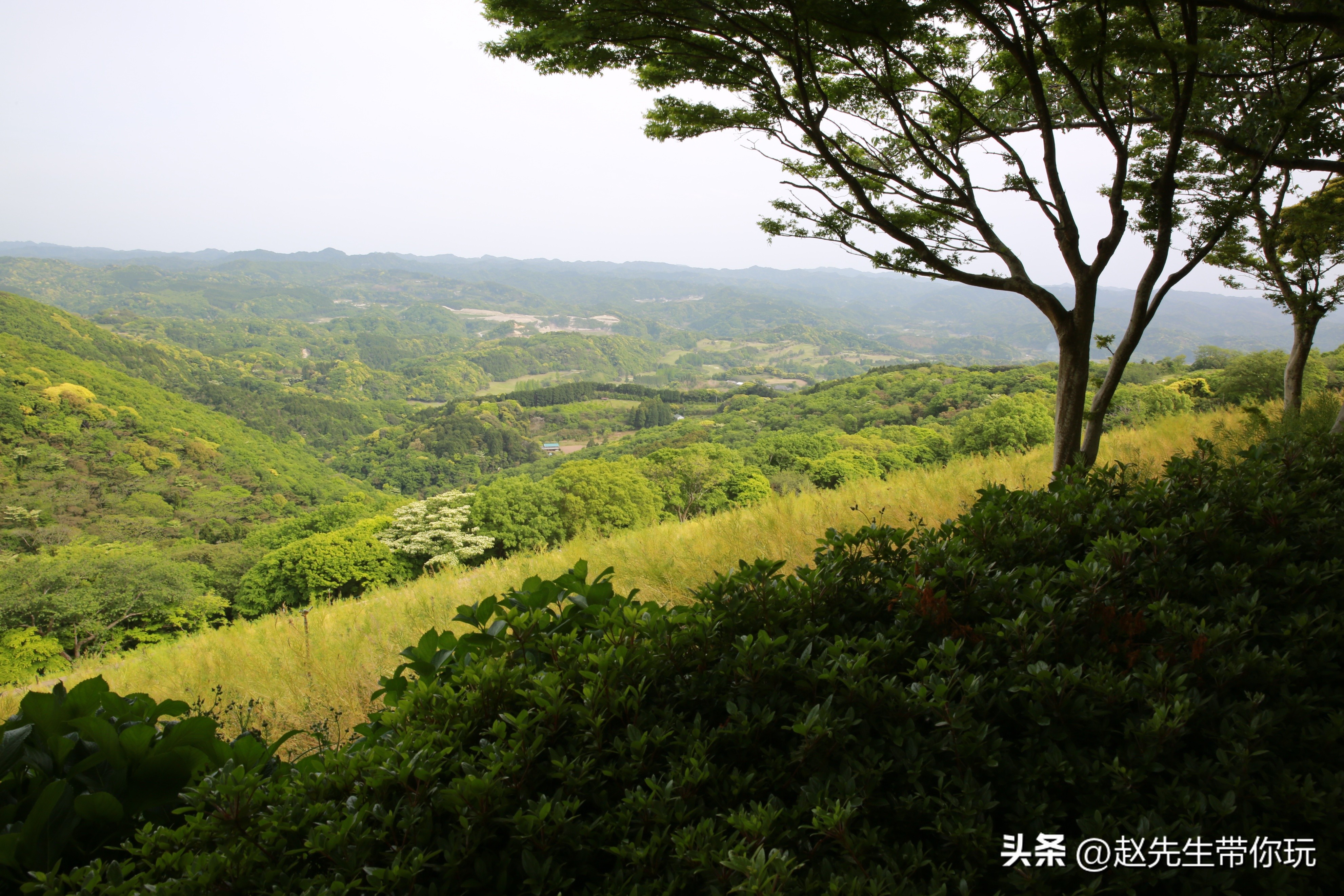 20年旅行总结,二十年游历分享