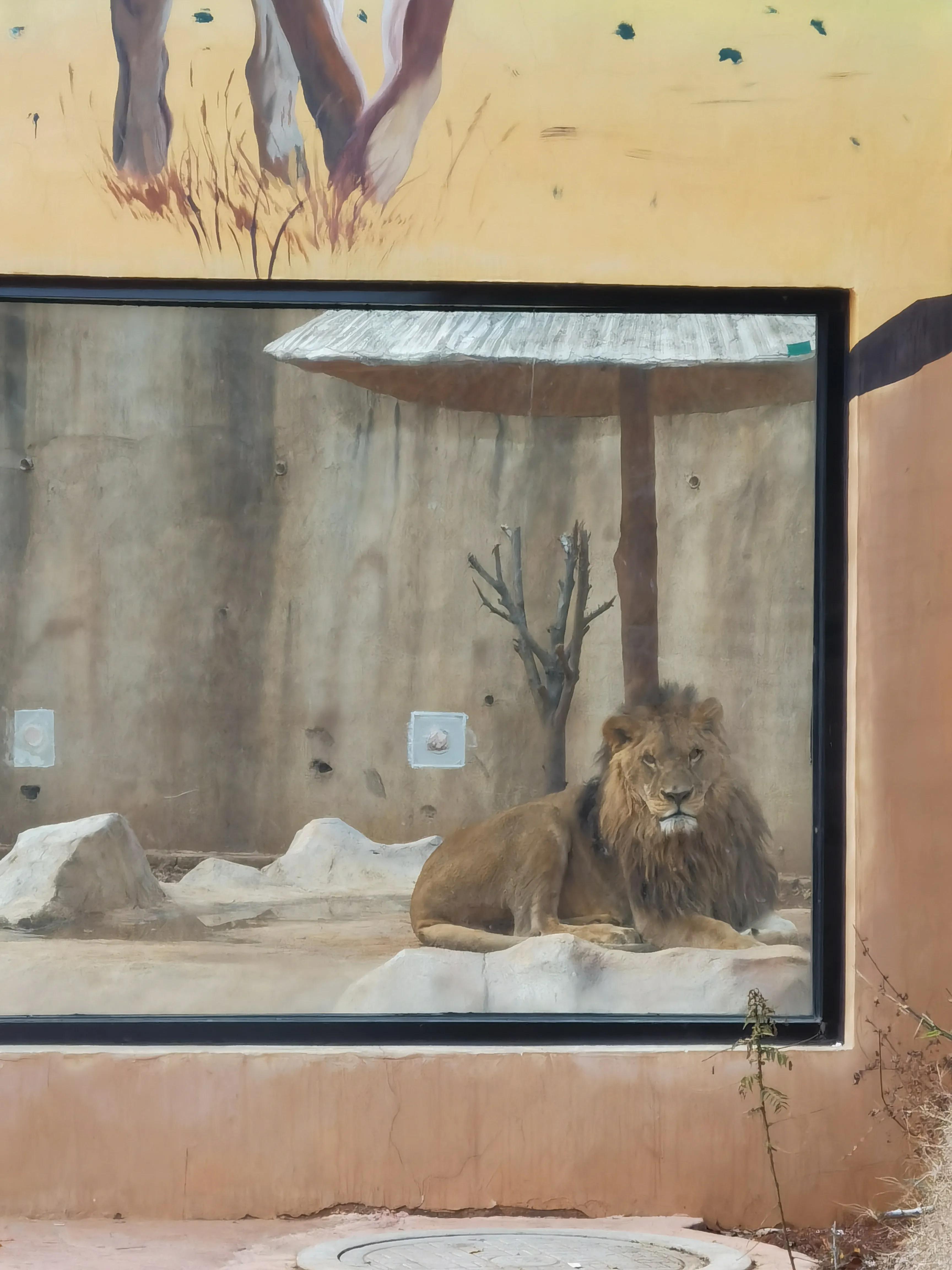 大洪山西游记公园攻略,大洪山西游记公园门票预订