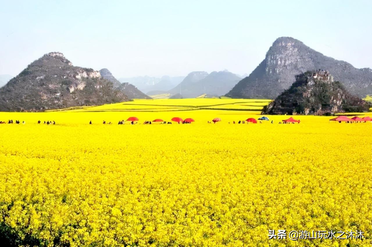 看油菜花的好地旅游攻略,看油菜花哪里最值得去