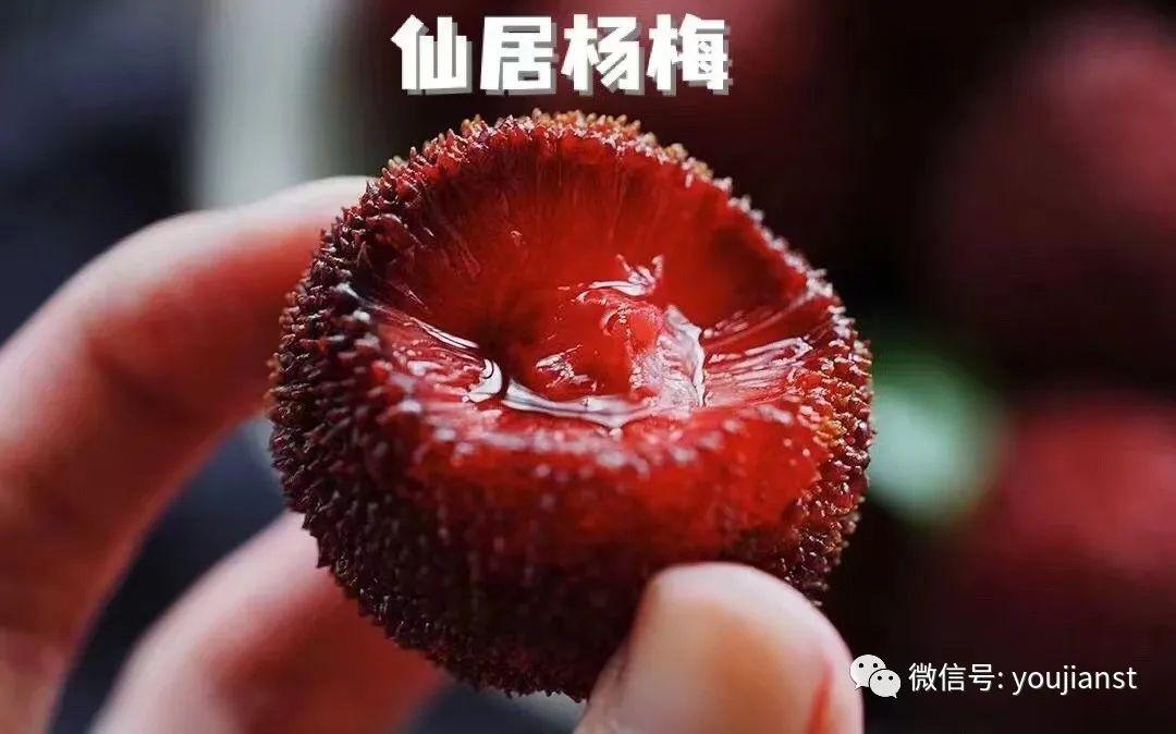 如何泡杨梅酒正确做法视频,泡杨梅酒的正确方法视频