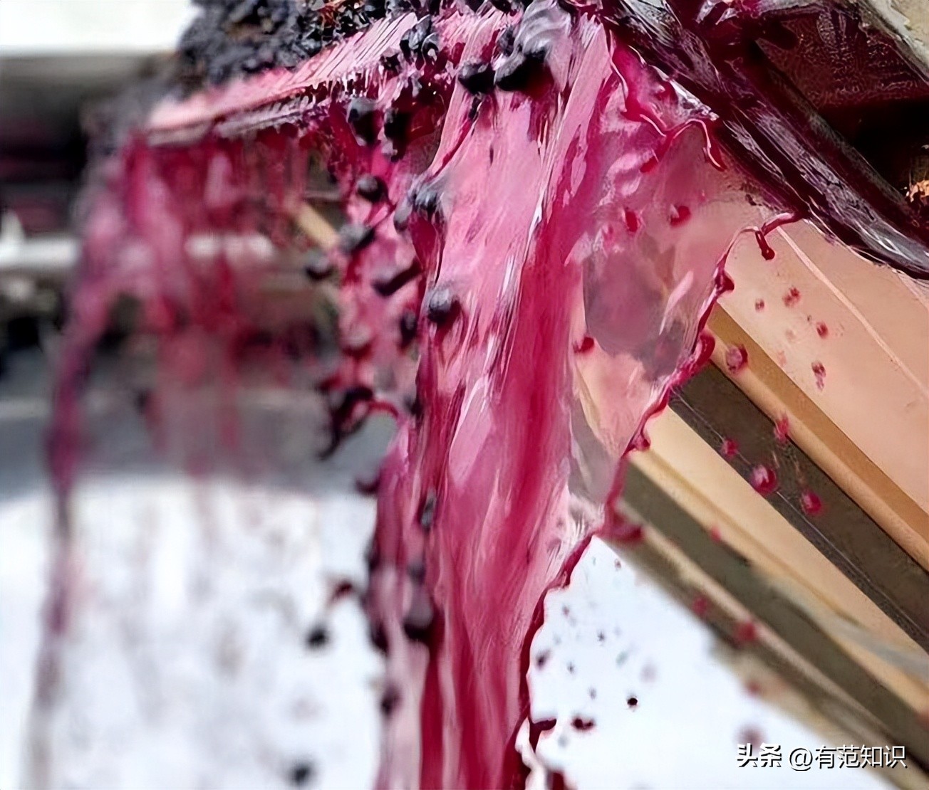 酿造葡萄酒的基本步骤,如何酿造香气扑鼻葡萄酒