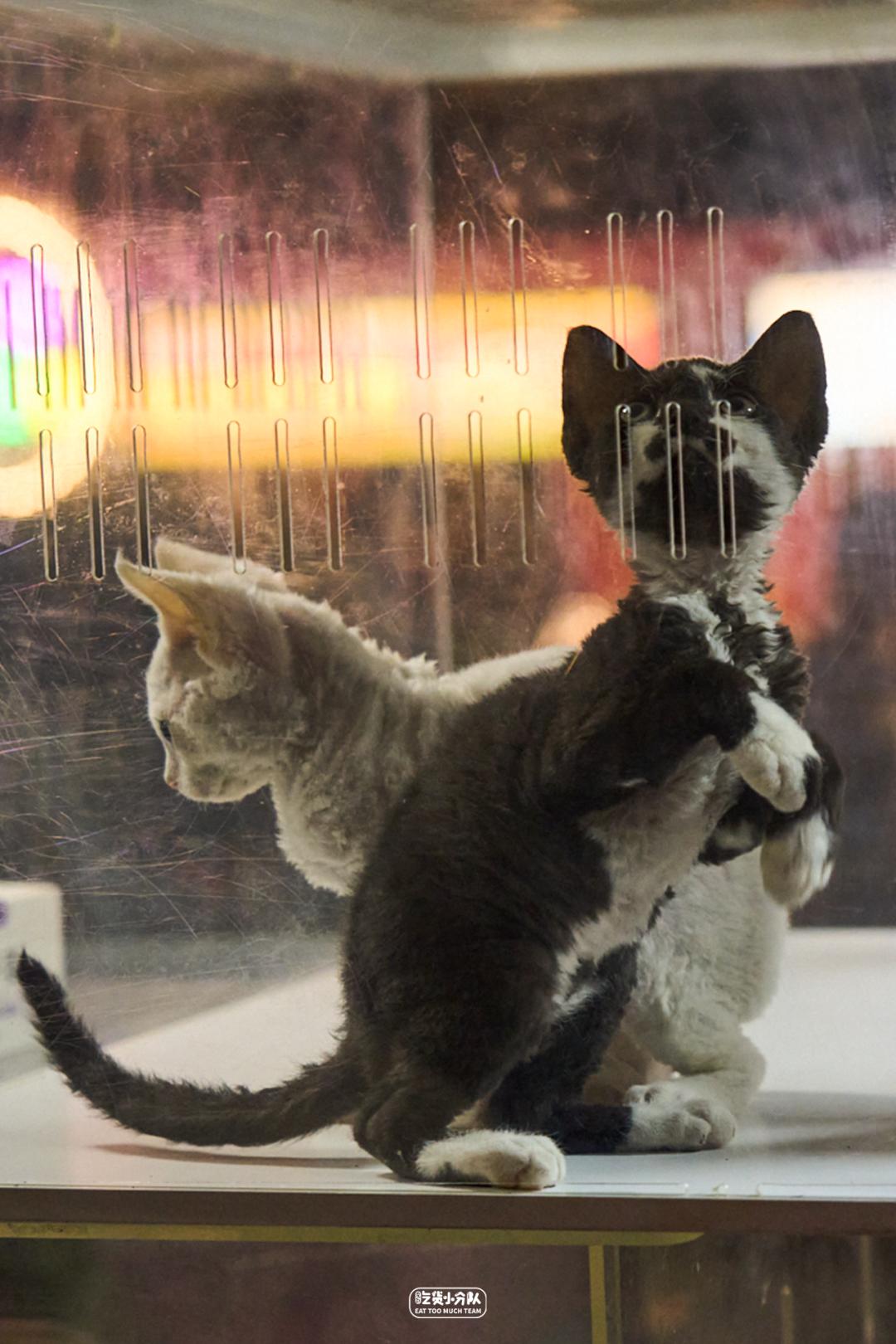 上海夜市全攻略,上海夜市汇总