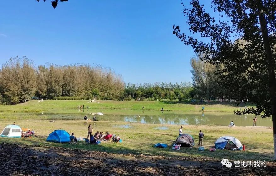 捞小河里的小蝌蚪,上海抓小蝌蚪的公园