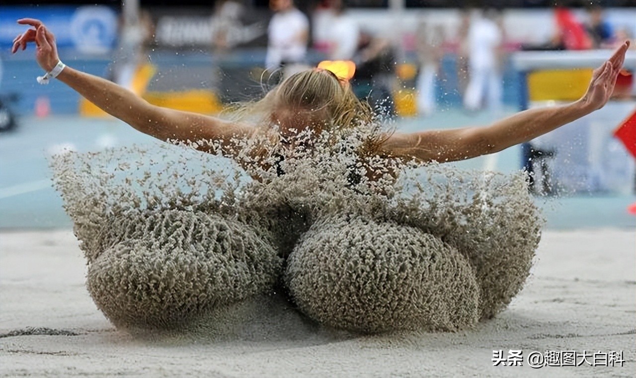 30张活久见的动物图,30张活久未见的老照片