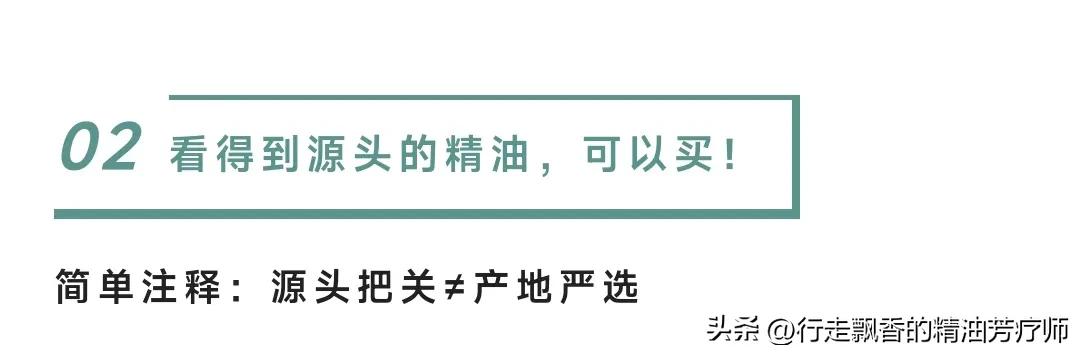 十大入门精油,新手入门精油分类