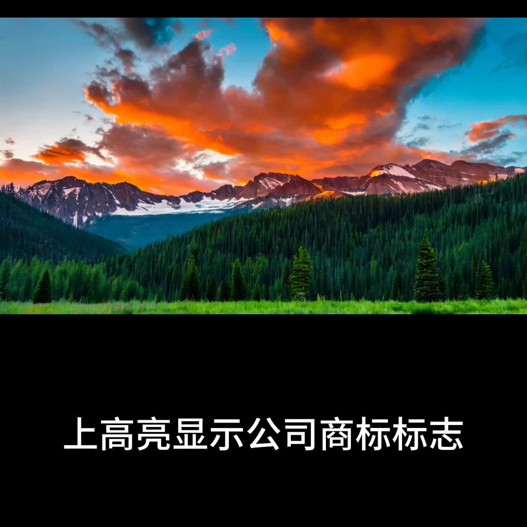 淘宝控价公司怎么收费,淘宝控价管理流程