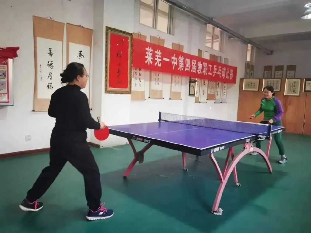 莱芜乒乓球比赛视频,莱芜乒乓球