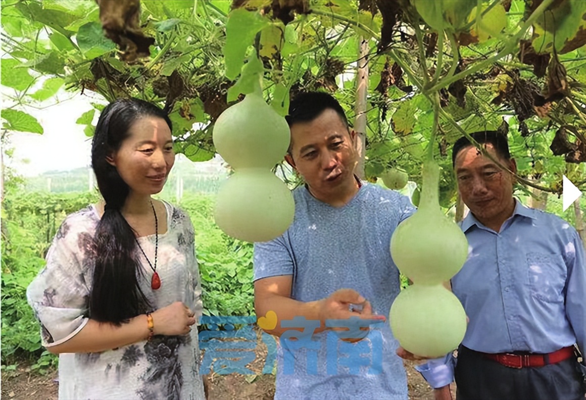 葫芦雕刻手艺人教学,残疾人烙画葫芦培训教程