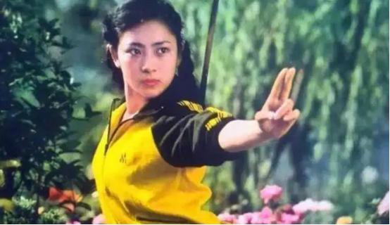 功夫巨星李连杰的资产,功夫巨星系列李连杰档案