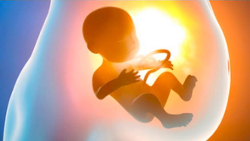 失去子宫的女人和正常人的区别,失去子宫的女人结局