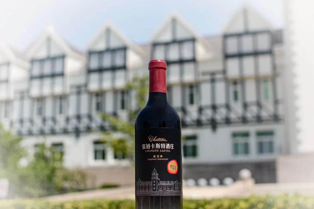 酿酒葡萄蛇龙珠,酿酒葡萄蛇龙珠和赤霞珠的区别