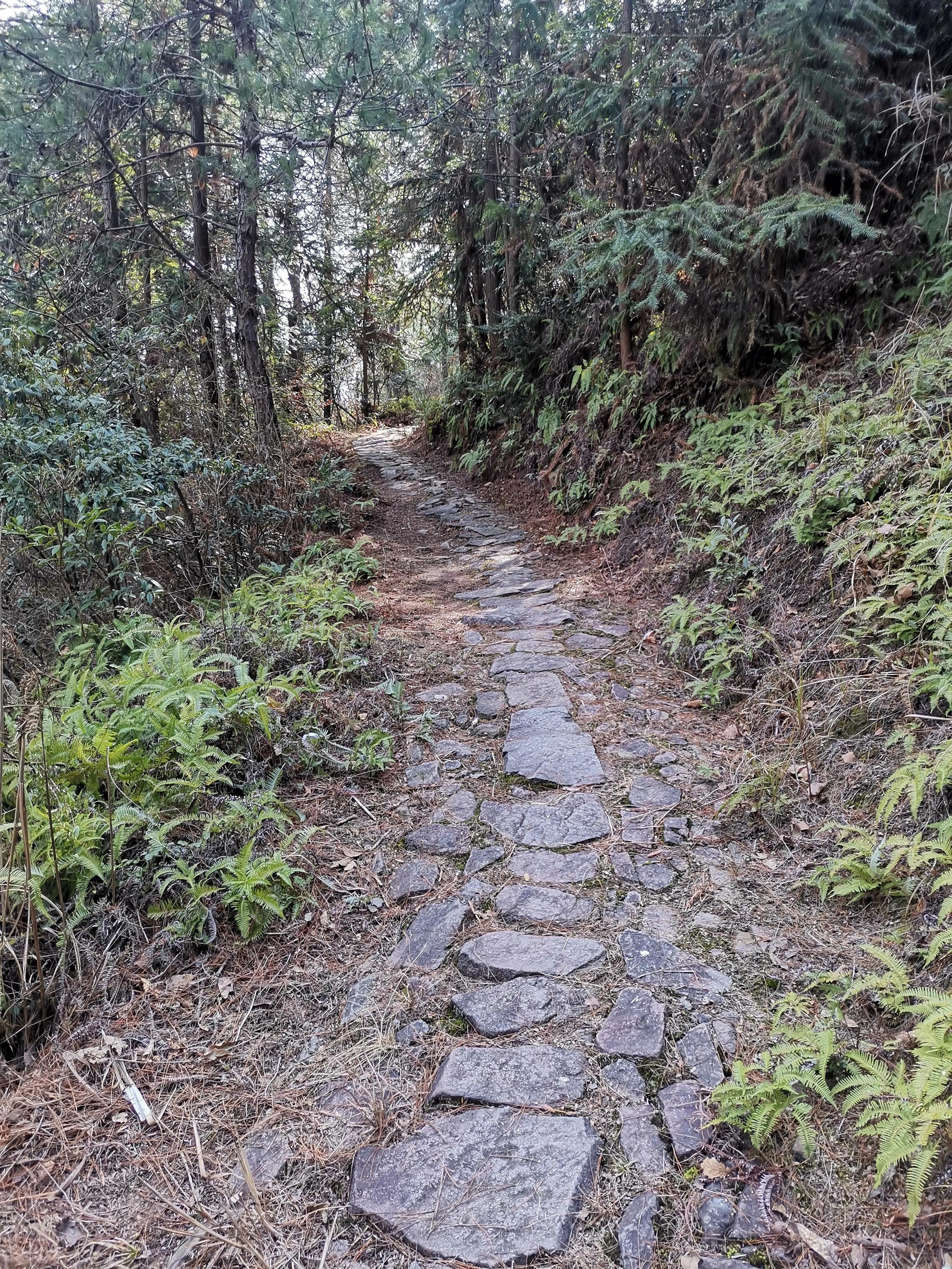 跨境电商助力出口,跨境电商出口模式发展研究