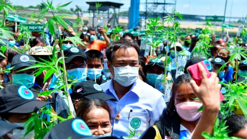 要为“娱乐*麻大**”开绿灯？泰国，看来真要成为一个“麻香之国”了