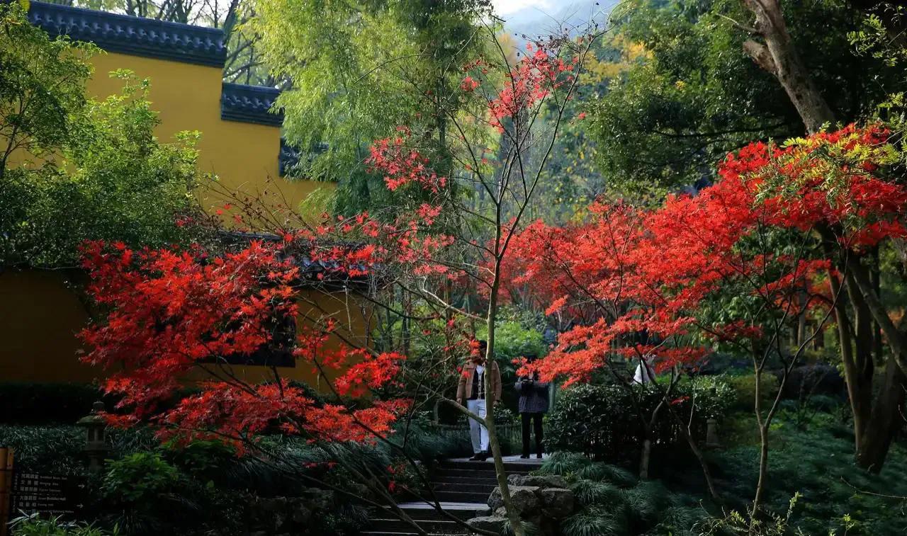 杭州周边赏秋好去处,杭州赏秋最佳攻略