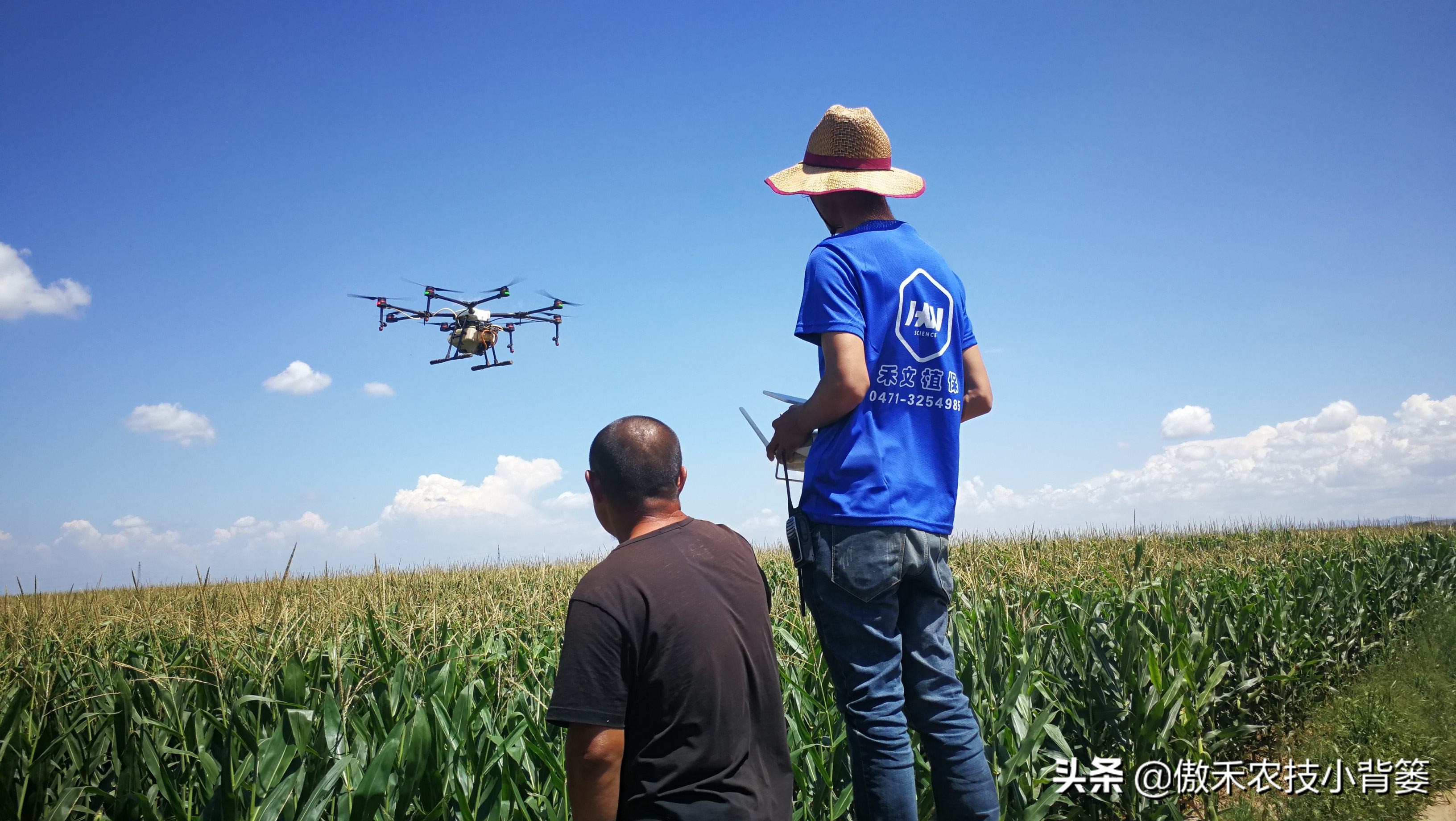 玉米螟虫药什么时候打,防玉米螟什么时间打药合适