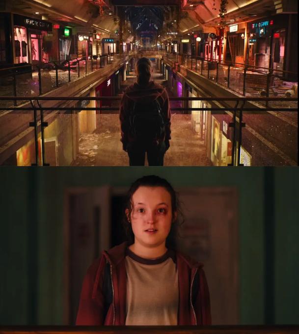 最后生还者1-6季全集,最后生还者1-8季解说