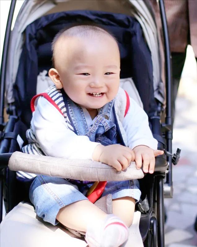 洋洋的故事,洋洋的背后的故事