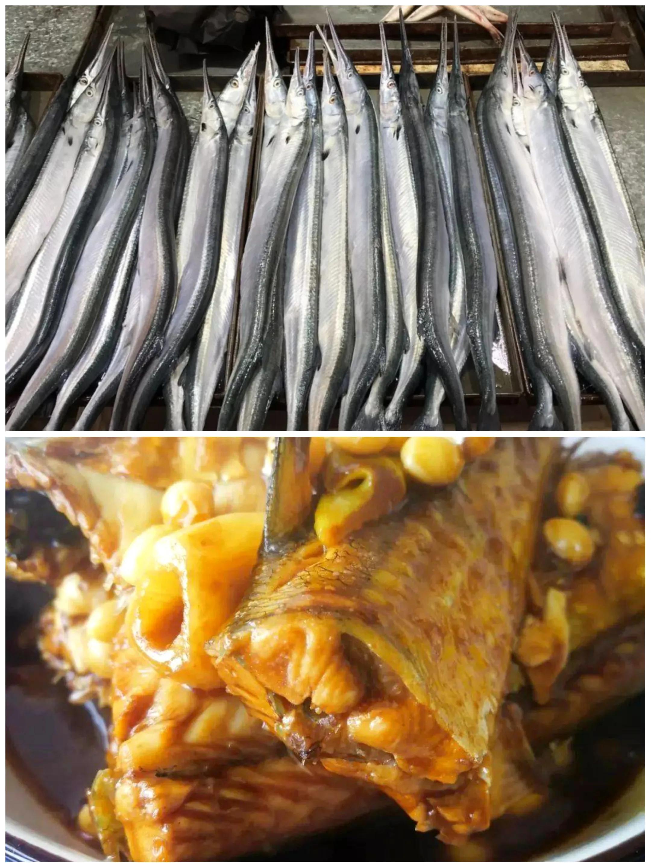 100种常见海鱼大全,常吃的海鱼图片及介绍