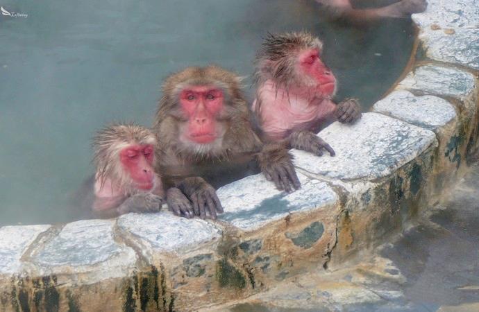 北海道函馆海鲜,北海道便宜海鲜市场