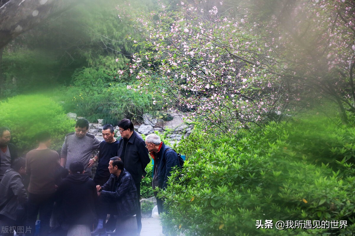 涓婃捣绻佽姳鎵撳崱鏅偣,涓婃捣鎵撳崱鏅偣