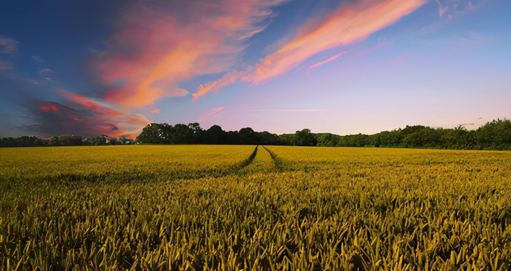 趣嗨租有限公司,嗨租切实服务蓝领