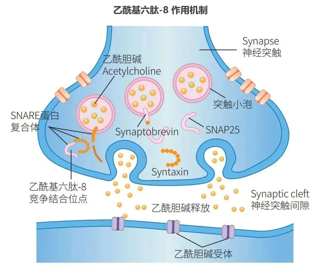 国外大牌成“上门女婿”，这些国货集团出息咯！