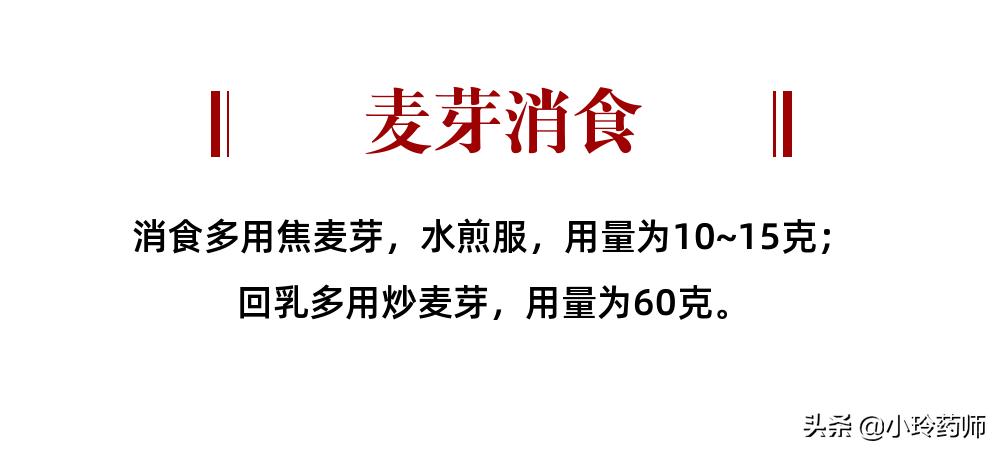 中医消食食物,消食中药药膳