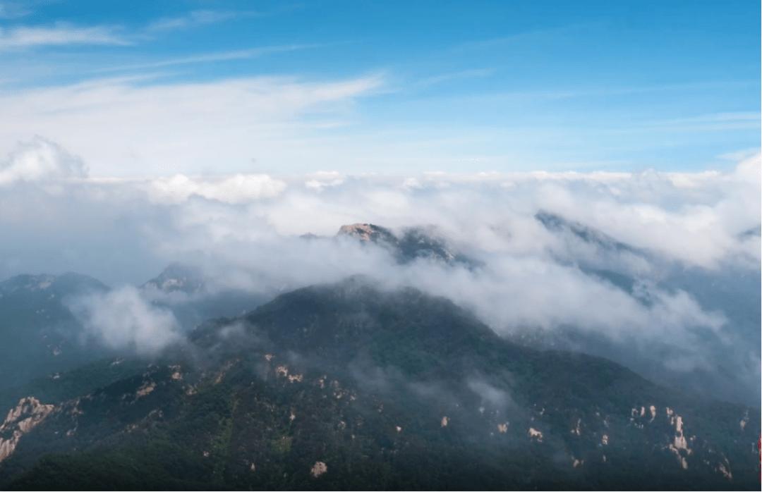 山东卫康集团生物科技有限公司,山东卫康生物优势