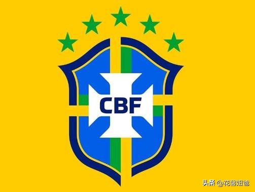 巴西第一视角,上帝视角巴西克罗地亚